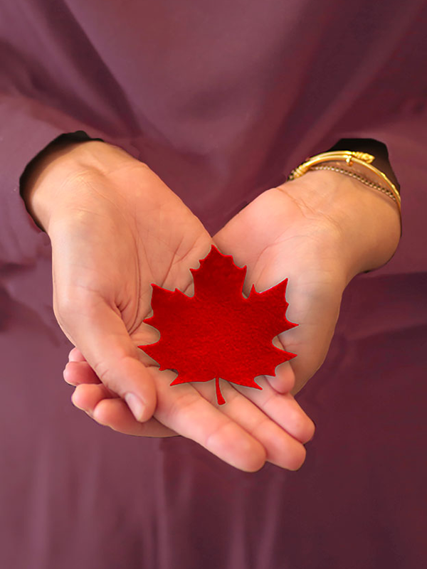Womans hands holding maple leaf